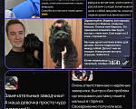 Собаки в Челябинске: Кокапу щенок Девочка, 59 000 руб. - фото 7