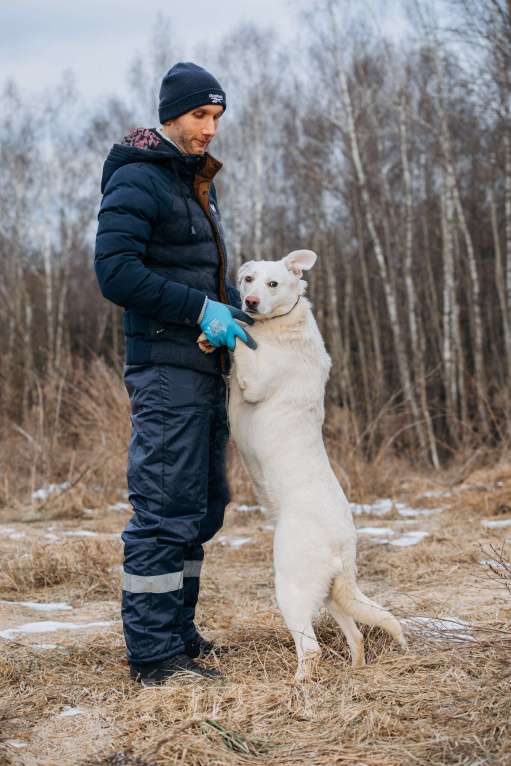Собаки в Москве: Белоснежная собака в добрые руки! Девочка, Бесплатно - фото 6