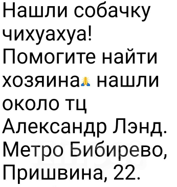 Собаки в Москве: Найдена чихуа девочка Лила Девочка, Бесплатно - фото 3