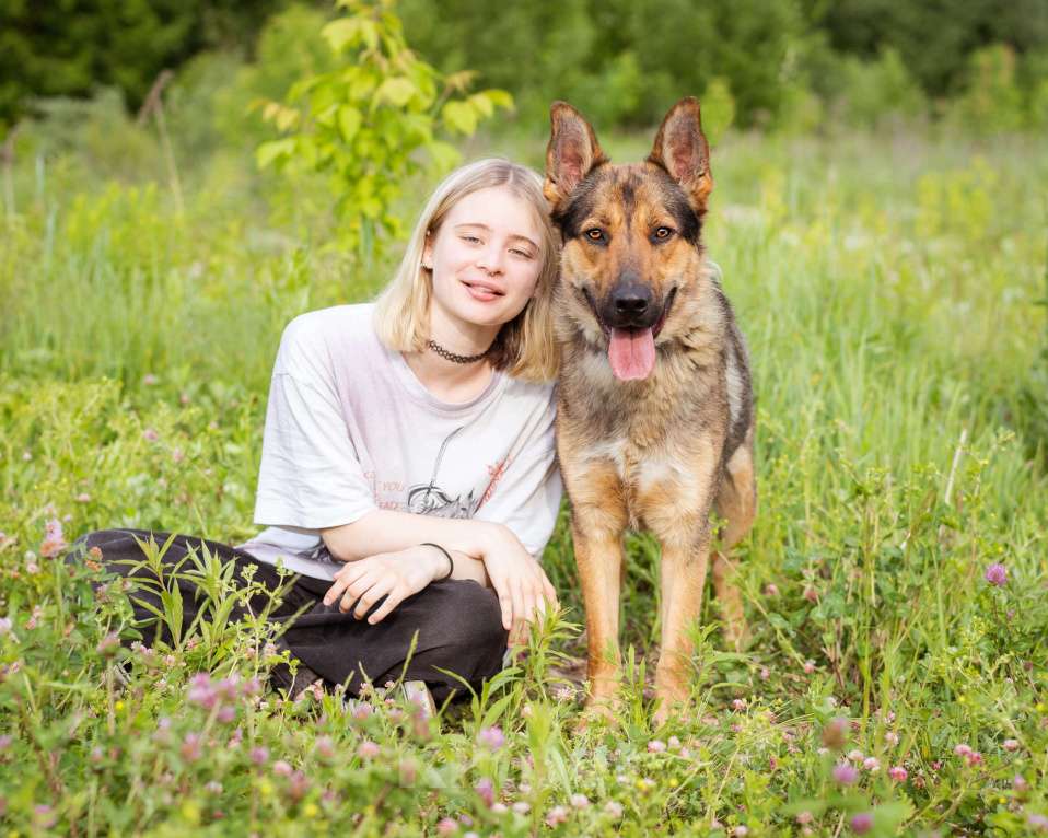 Собаки в Москве: Гоша, метис овчарки, молодой контактный мальчик Мальчик, Бесплатно - фото 8