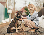 Собаки в Лосином-Петровском: Дарк валентинка в добрые руки Мальчик, Бесплатно - фото 9