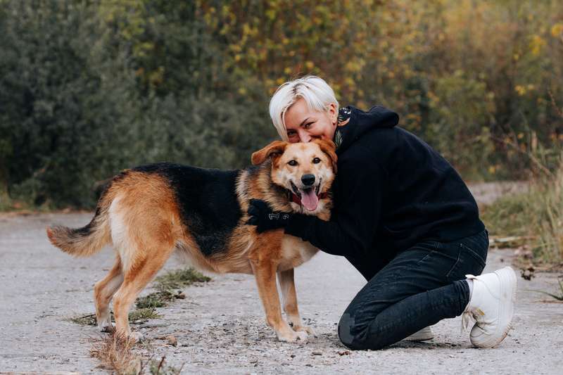 Собаки в Москве: Брошенная плохими хозяевами умница Сима ищет дом Девочка, 1 руб. - фото 5