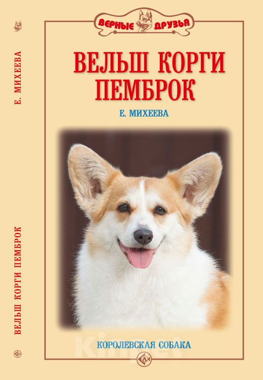 Собаки в Белоозёрском: Вельш корги пемброка щенки "из Ксаро Честная игра" Мальчик, 120 000 руб. - фото 2
