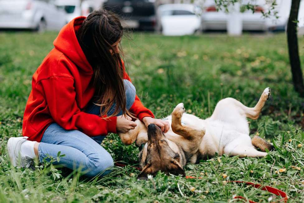 Собаки в Москве: Кира Девочка, Бесплатно - фото 5