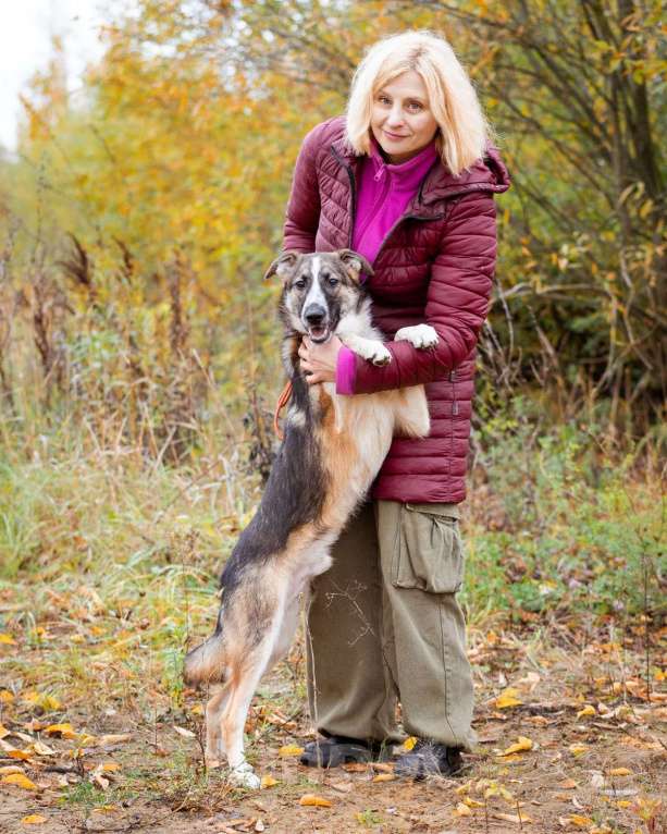 Собаки в Москве: Симба Мальчик, Бесплатно - фото 3