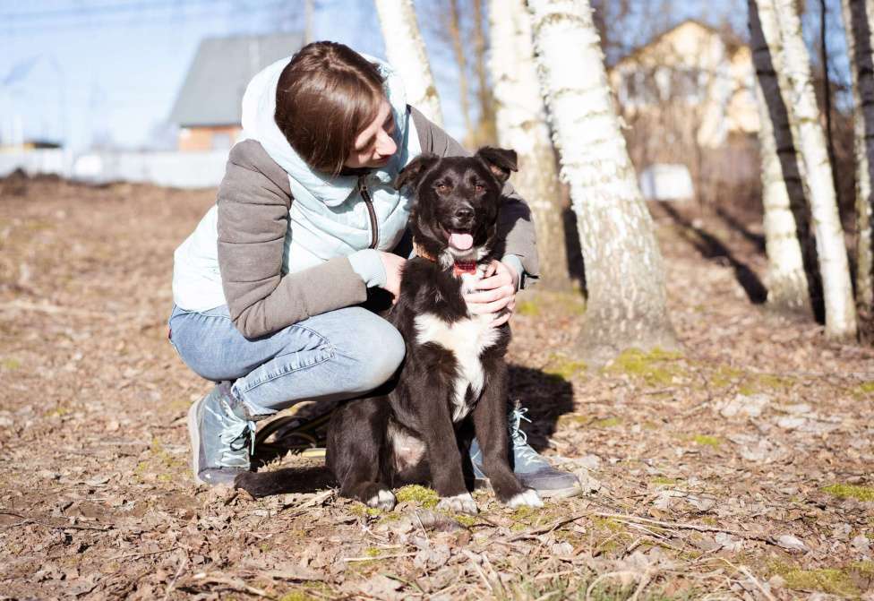 Собаки в Москве: Щенок в добрые руки Мальчик, Бесплатно - фото 10