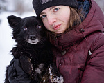Собаки в Москве: Чихуа  девочка в дар! Девочка, Бесплатно - фото 5