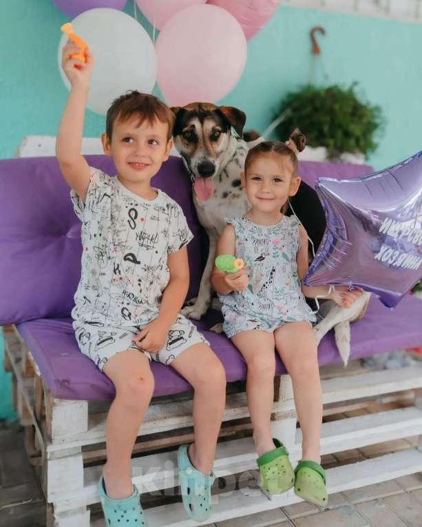 Собаки в Люберцах: Джулия ищет семью Девочка, Бесплатно - фото 8