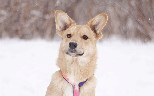 Чтобы достать до звезд, достаточно познакомиться с Саммер!