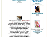 Собаки в Пскове: Щенок пти брабансон Мальчик, 45 000 руб. - фото 3