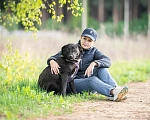Собаки в Москве: Собака в дар Девочка, Бесплатно - фото 5