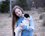 Собаки в Москве: Маленькая собачка, 3 кг в добрые руи Девочка, Бесплатно - фото 5