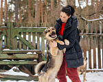 Собаки в Москве: Амур - метис ВЕО ищет дом, отличный компаньон и защитник Мальчик, 100 руб. - фото 4