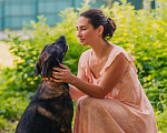 Собаки в Москве: Молодой, перспективный пёс Росс ищет достойную семью Мальчик, Бесплатно - фото 1