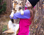 Собаки в Москве: Скромный, небольшой мальчик в добрые руки Мальчик, Бесплатно - фото 3