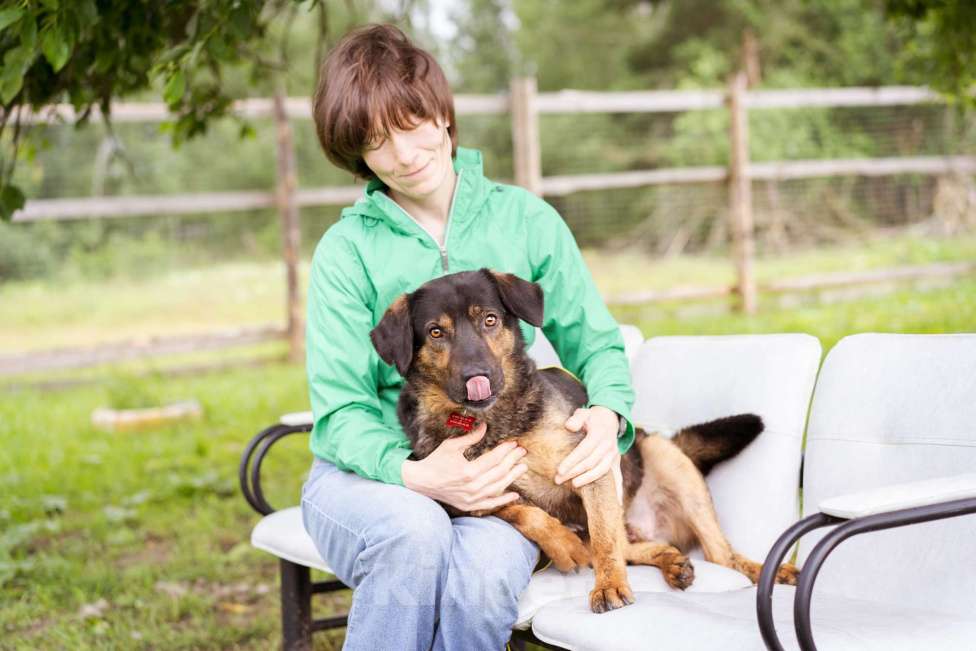 Собаки в Москве: Собака-компаньон Мальчик, Бесплатно - фото 3