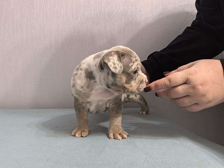 Мраморная девочка