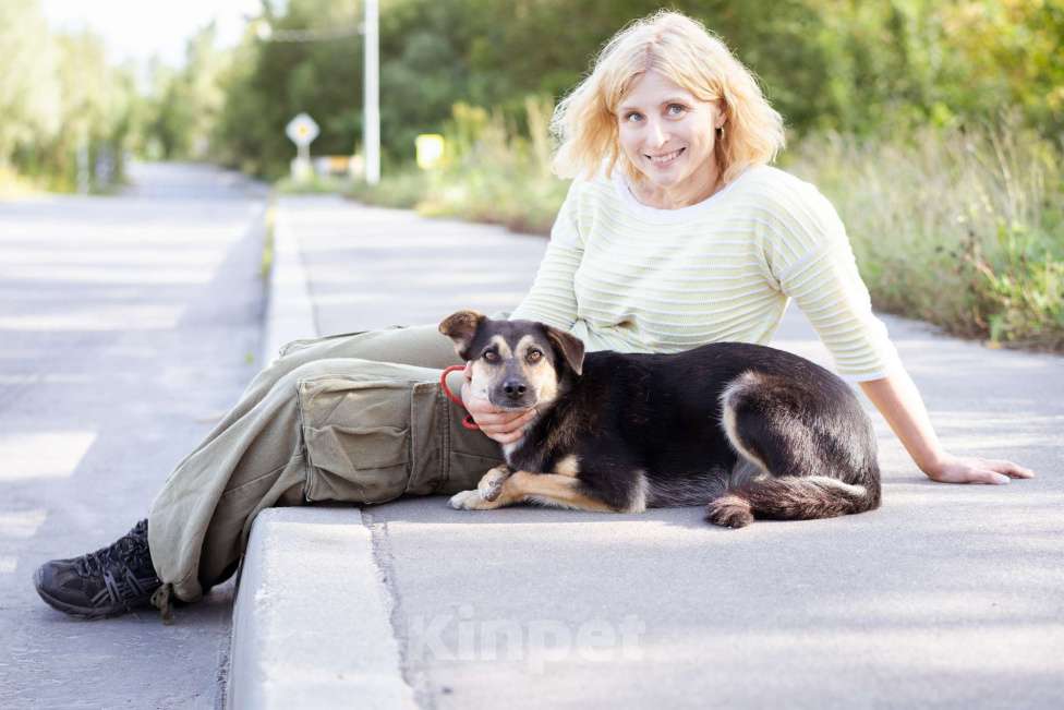 Собаки в Москве: Миниатюрная молодая девочка из приюта ищет дом Девочка, Бесплатно - фото 3