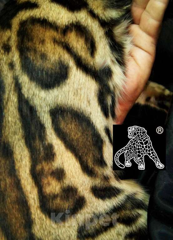 Кошки в Хабаровске: Бенгальский котенок. Профессиональный Питомник. Девочка, 160 000 руб. - фото 9