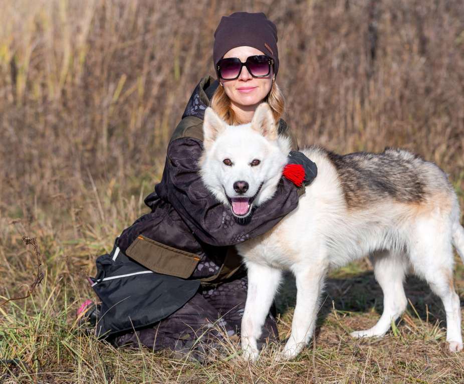 Собаки в других городах Московской области: Собака ждет дружную семью Мальчик, Бесплатно - фото 2