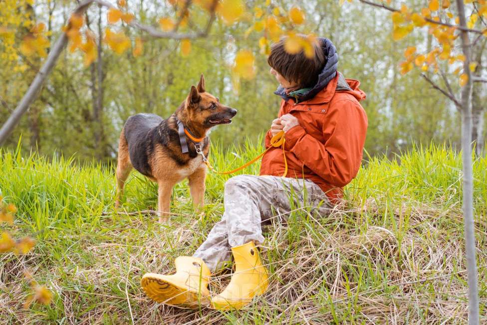 Собаки в Москве: Булочка живёт в приюте и мечтает обрести дом Девочка, Бесплатно - фото 7