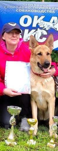 Собаки в Кемерово: Щенок ВЕО от рабочей пары, с хорошей  родословной Девочка, Бесплатно - фото 1