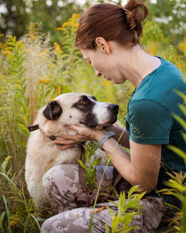 Собаки в Москве: Миролюбивая девочка в добрые руки Девочка, Бесплатно - фото 6