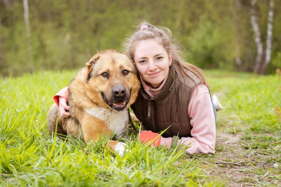 Собаки в Москве: Алабай в добрые руки Мальчик, Бесплатно - фото 9