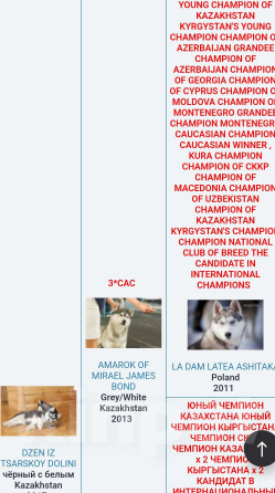 Собаки в других городах Ростовской области: Хаски красавчик! Мальчик, Бесплатно - фото 9
