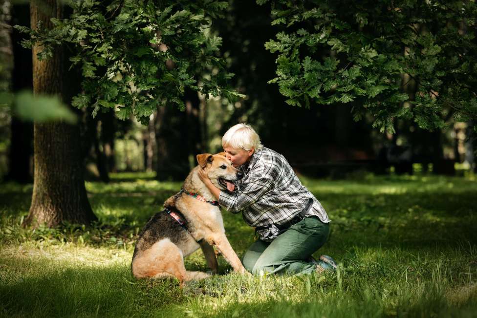 Собаки в Москве: Трепетный Джой Мальчик, Бесплатно - фото 7