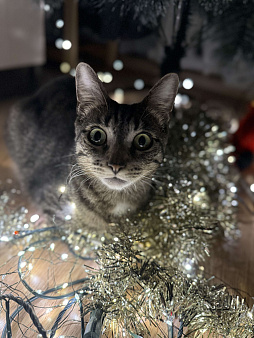 Найдись добрый человек,забери меня!