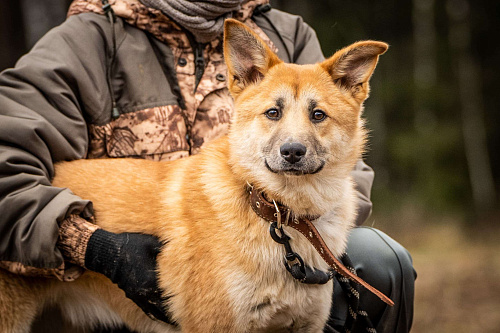Хеди — настоящая искорка счастья