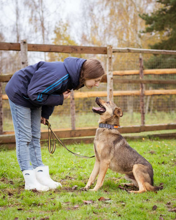 Собаки в Москве: Собака из приюта ищет дом и семью Мальчик, Бесплатно - фото 10