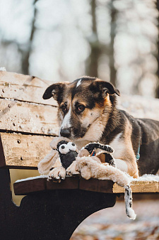Айриш. Та, что всё понимает... И очень ждёт.