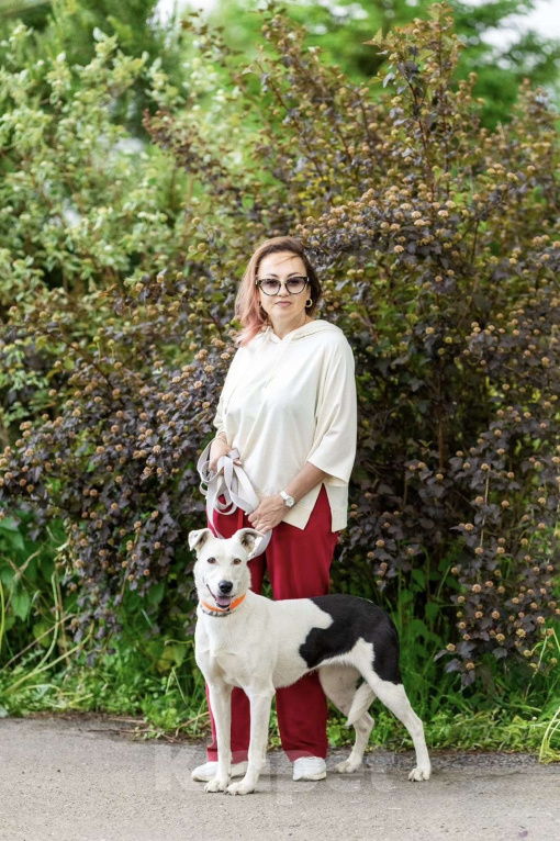 Собаки в Люберцах: Добрая и ласковая Марта 1,5 года ждет своего хозяина Девочка, Бесплатно - фото 7