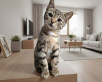 Кошки в Москве: Котенок Василек ищет дом Мальчик, Бесплатно - фото 3