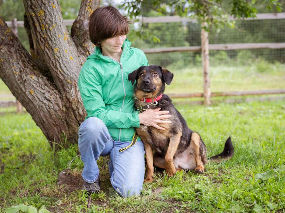 Собаки в Москве: Собака-компаньон Мальчик, Бесплатно - фото 9