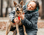 Собаки в Москве: Харизматичная Булка ищет дом Девочка, Бесплатно - фото 7