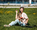 Собаки в Москве: Стася ищет Дом Девочка, Бесплатно - фото 6