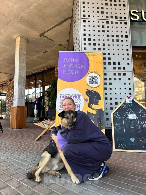 Собаки в Москве: -Москва, услышьте зов Персея!  Мальчик, 1 руб. - фото 3