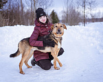Собаки в Москве: Активный, жизнерадостный особенный мальчишка Мальчик, Бесплатно - фото 4