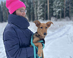 Собаки в Красногорске: Миниатюрная неженка Лина ищет дом! Девочка, 1 руб. - фото 3