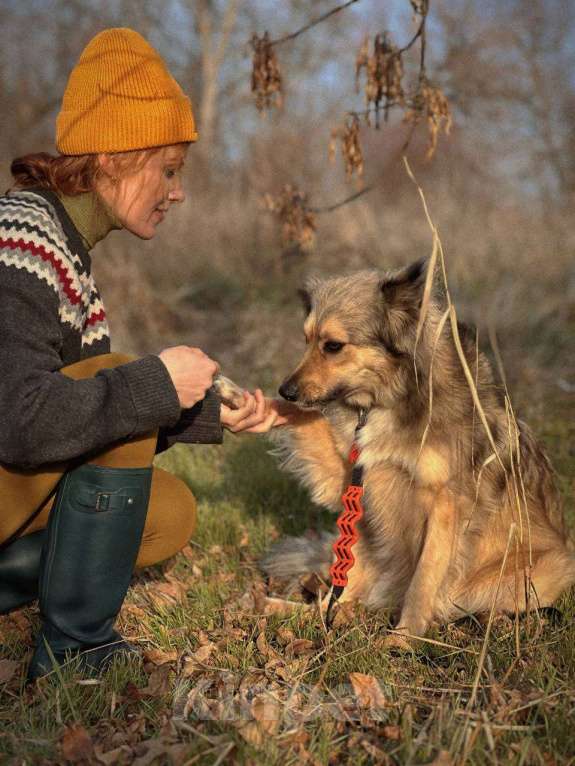 Собаки в Краснодаре: Спокойная собака ищет своего человека  Девочка, Бесплатно - фото 5