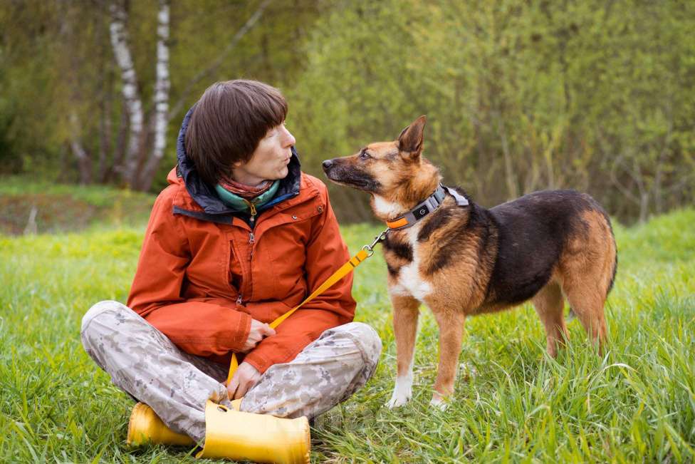 Собаки в Москве: Булочка живёт в приюте и мечтает обрести дом Девочка, Бесплатно - фото 8