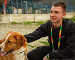 Собаки в других городах Краснодарского края: Роджер из приюта Поводог Сочи (отправим в любой город) Мальчик, Бесплатно - фото 3