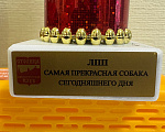 Собаки в Москве: Для вязки Мальчик, Бесплатно - фото 8