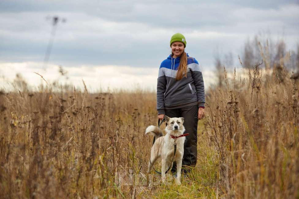 Собаки в Москве: Эльза Девочка, Бесплатно - фото 7