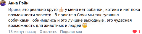 Собаки в Москве: Приглашаем гулять с собаками в приют Некрасовка! Разнополые, Бесплатно - фото 2