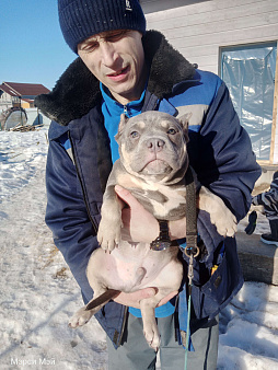 ММ ДОН РАМОН