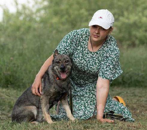 Собаки в Подольске: Забери меня из приюта домой Мальчик, Бесплатно - фото 5